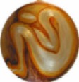 L'avatar di Samsara