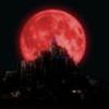L'avatar di Black Moon